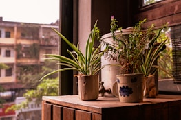 A cozy home environment showcasing care services in action.