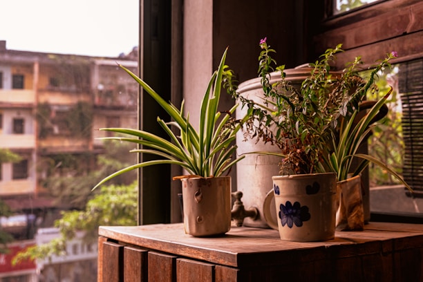 Cozy therapy office with warm lighting and plants