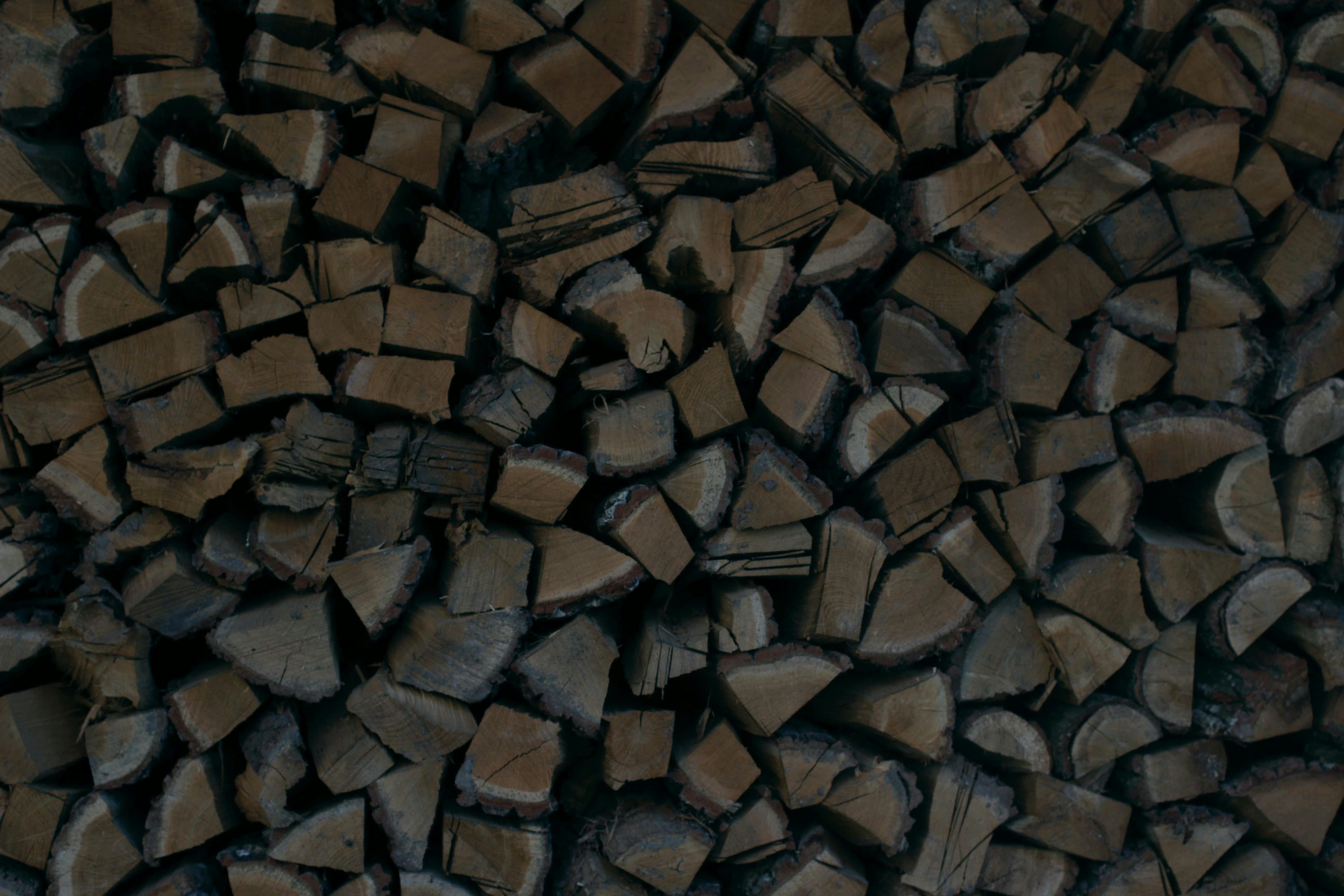 Photo by wildsweetbrier