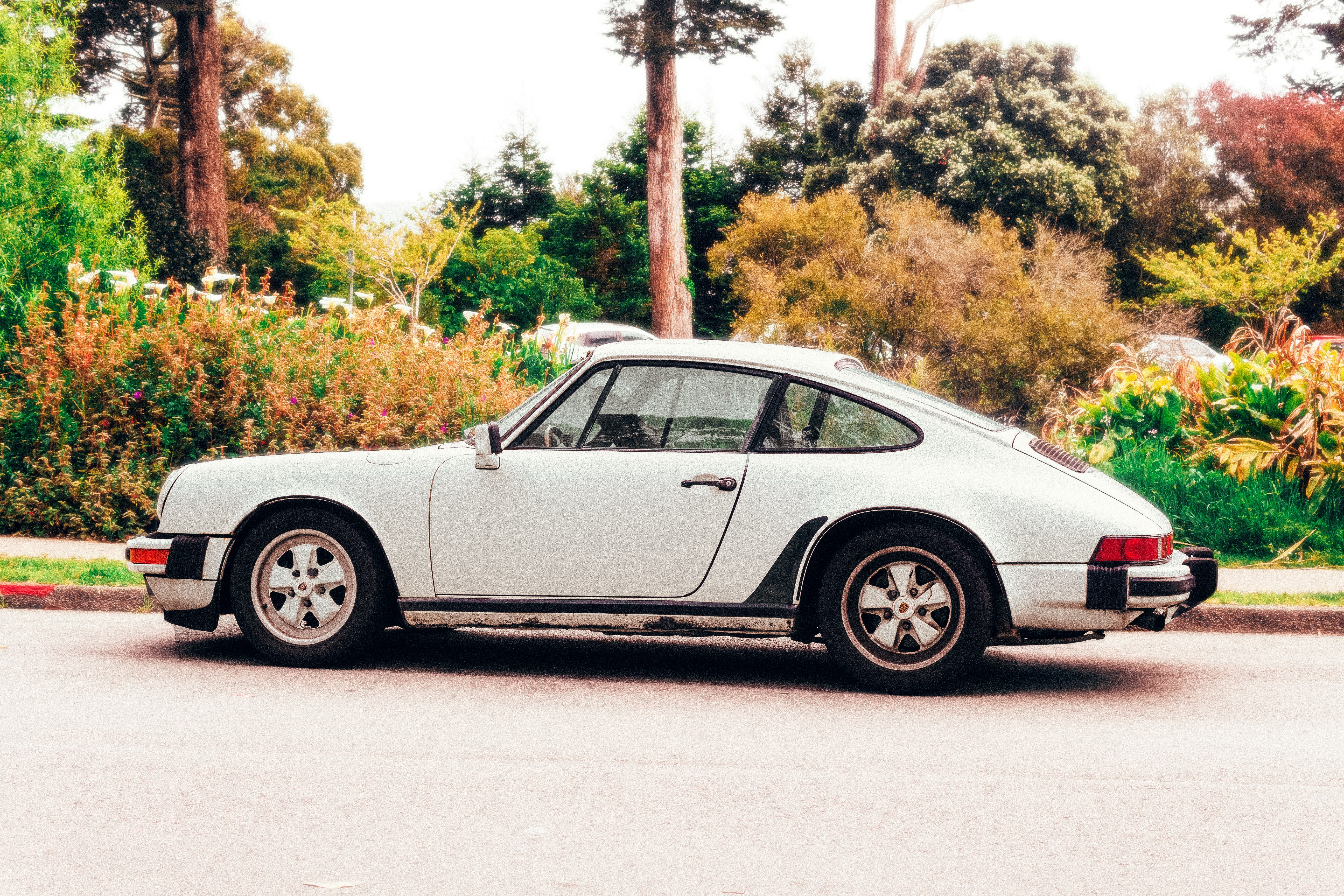 Photo by kreativevision