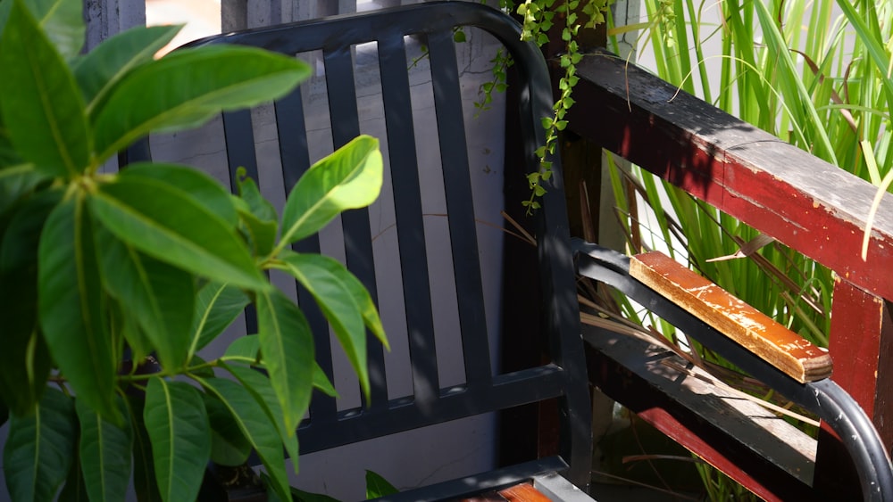 a chair next to a plant
