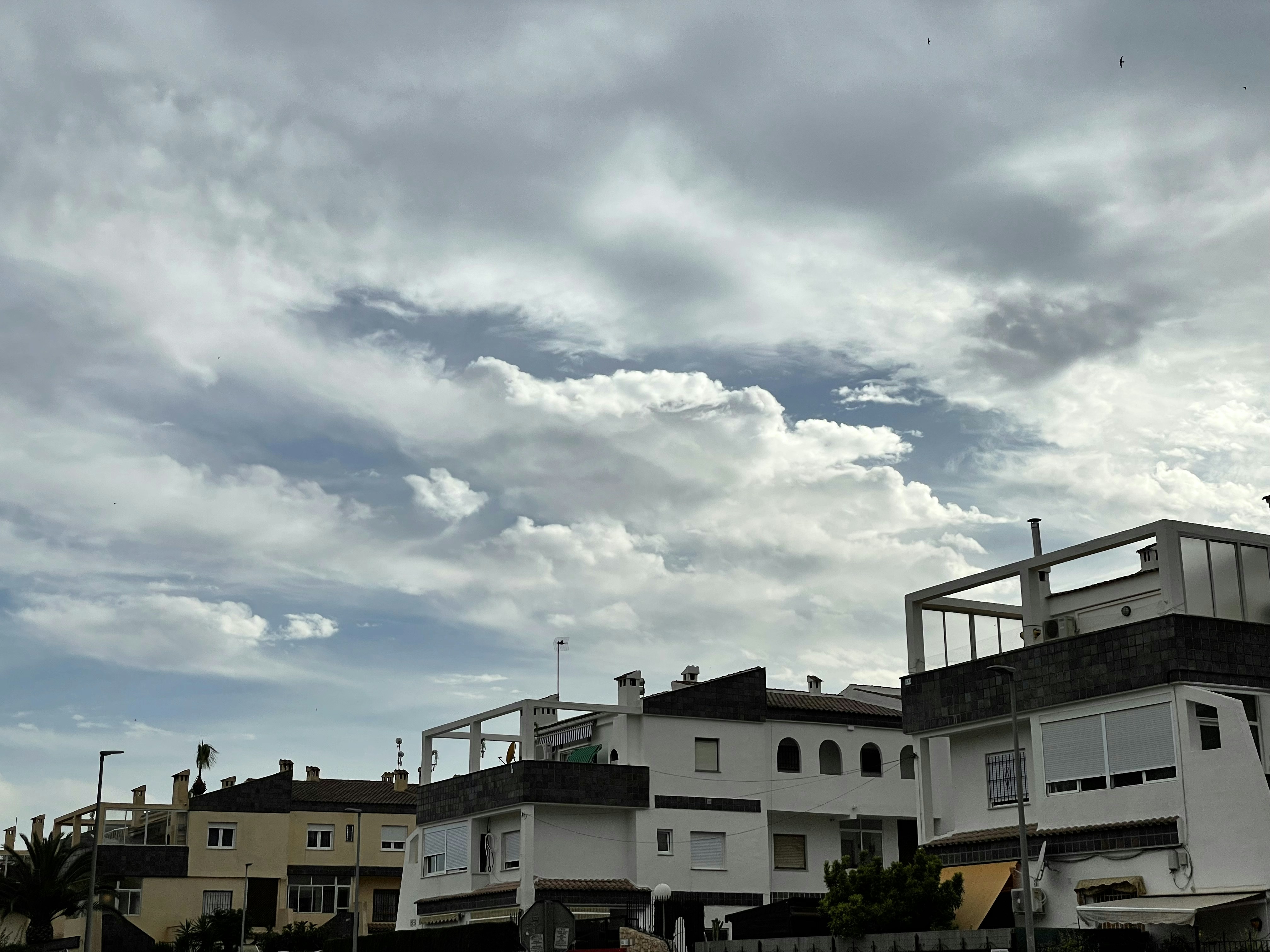 Desarrollo de aplicaciones móviles en Torrevieja