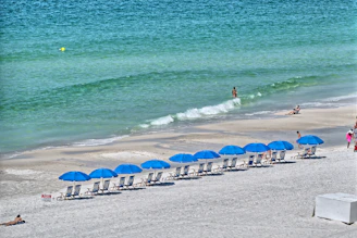 people on a beach