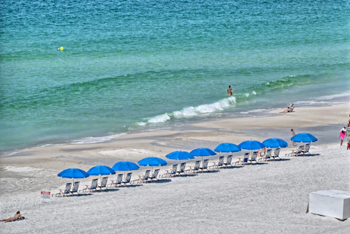 people on a beach