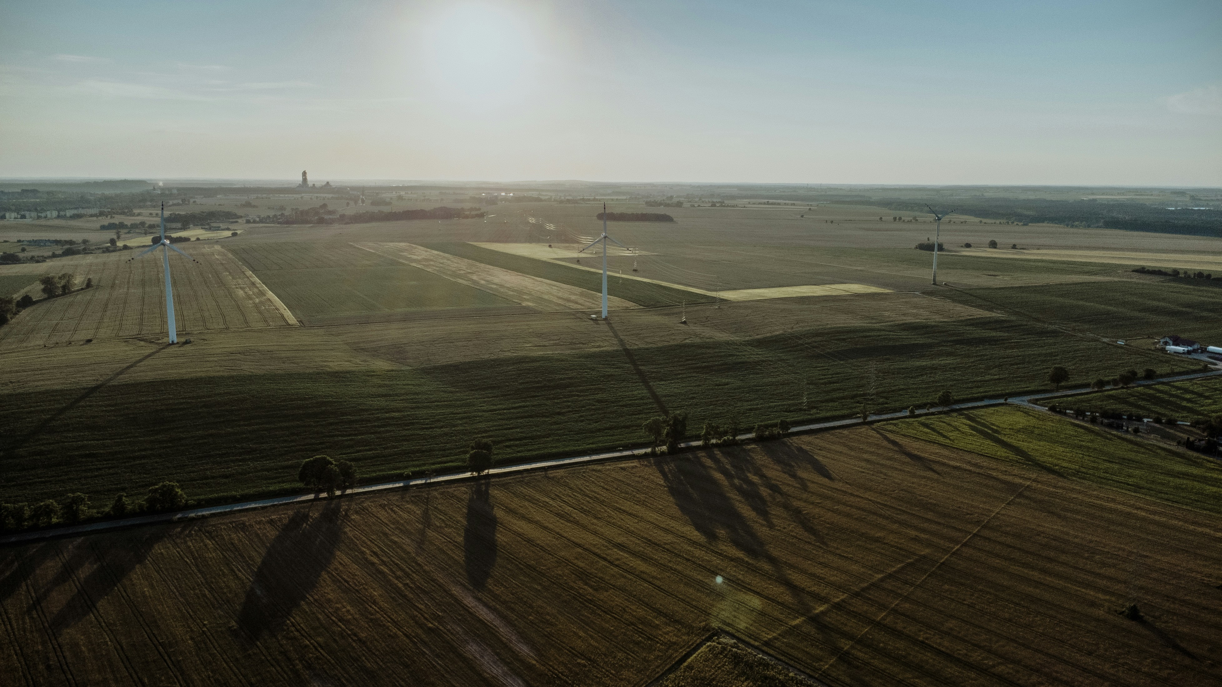 風力発電の影響で牛乳が出なくなる？酪農業への実際の影響調査関連画像