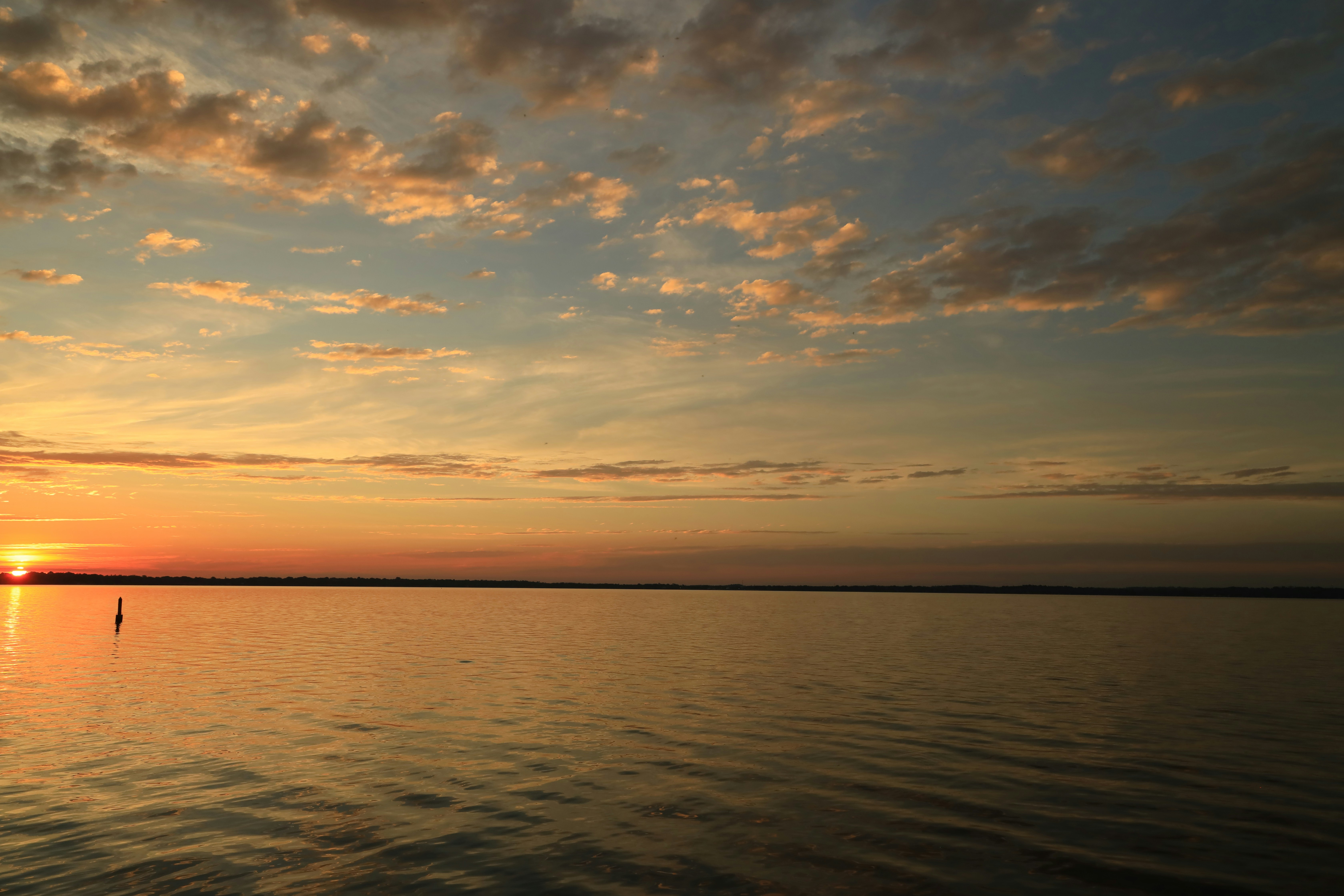 Photo by richardworks