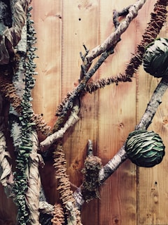 Reusable wraps displayed with natural elements like leaves and stones.
