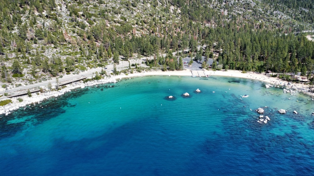 a beach with trees and water