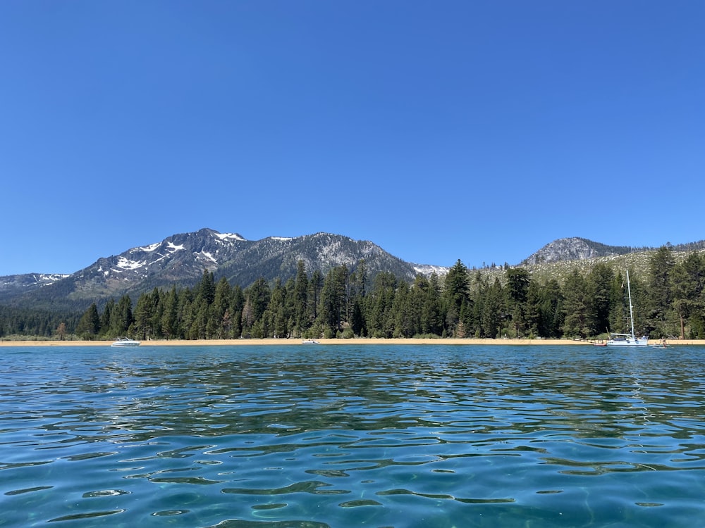 a body of water with trees and mountains in the background