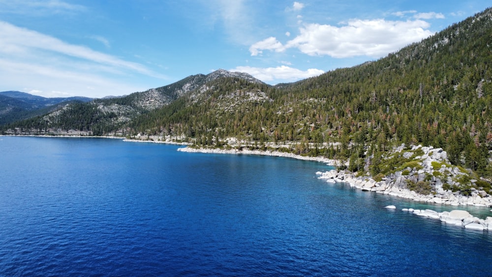 a body of water with trees and mountains in the background