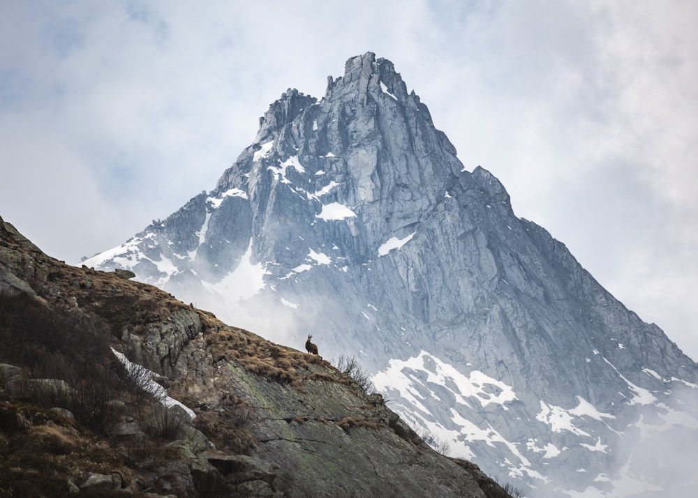 a person standing on a mountain