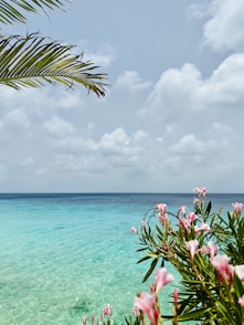 a body of water with flowers and plants around it