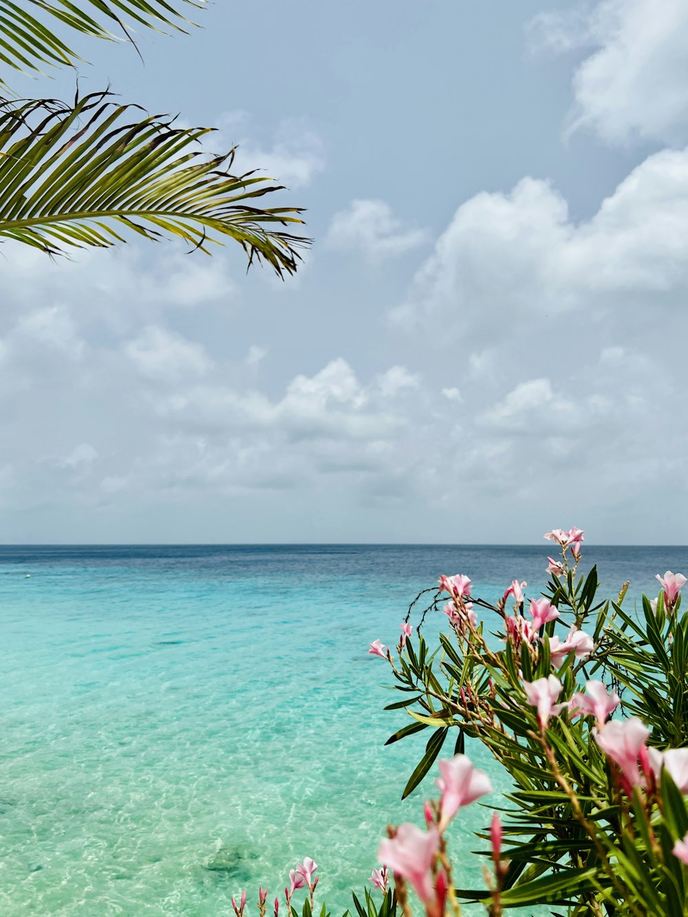 a body of water with flowers and plants around it