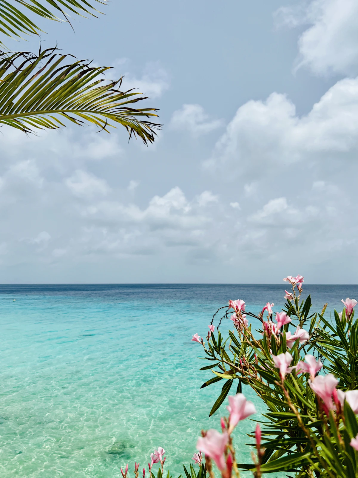 Bonaire (Kralendijk)