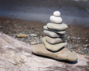 Retreat mentorship program (building together)