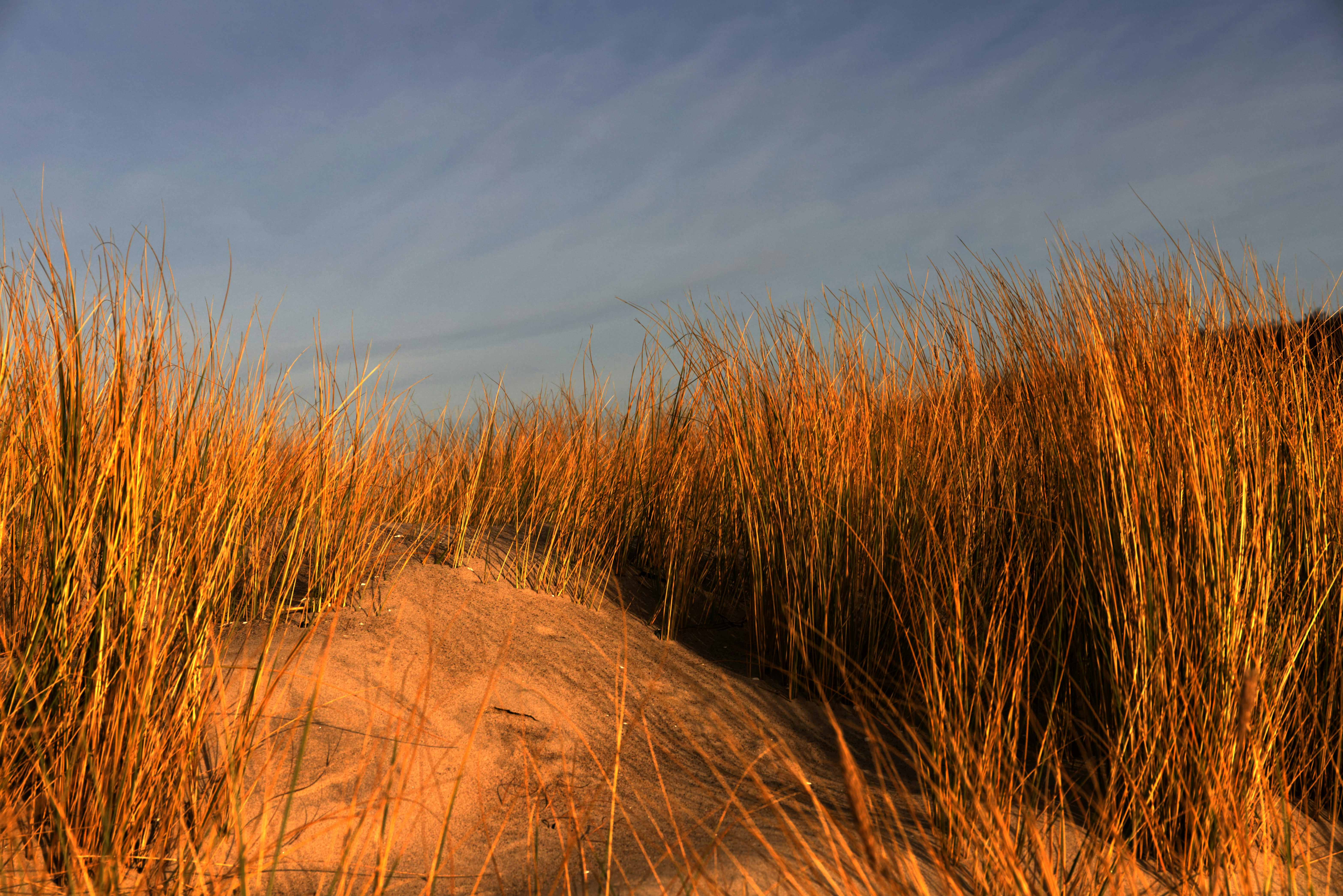 Photo by martinostsee