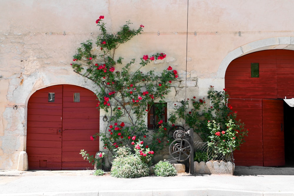 un albero con fiori davanti a un edificio