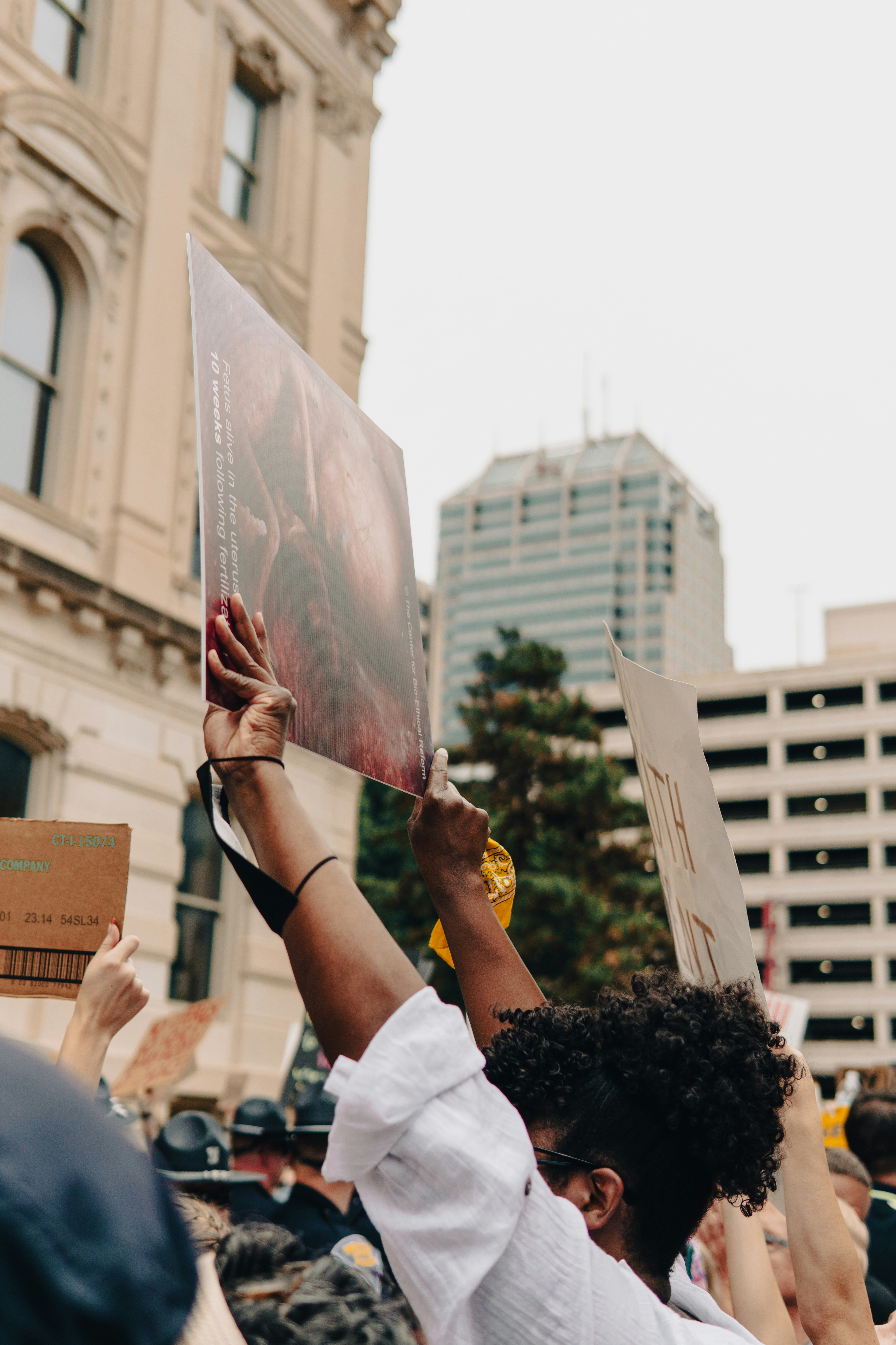 Photo by mrgreatheart