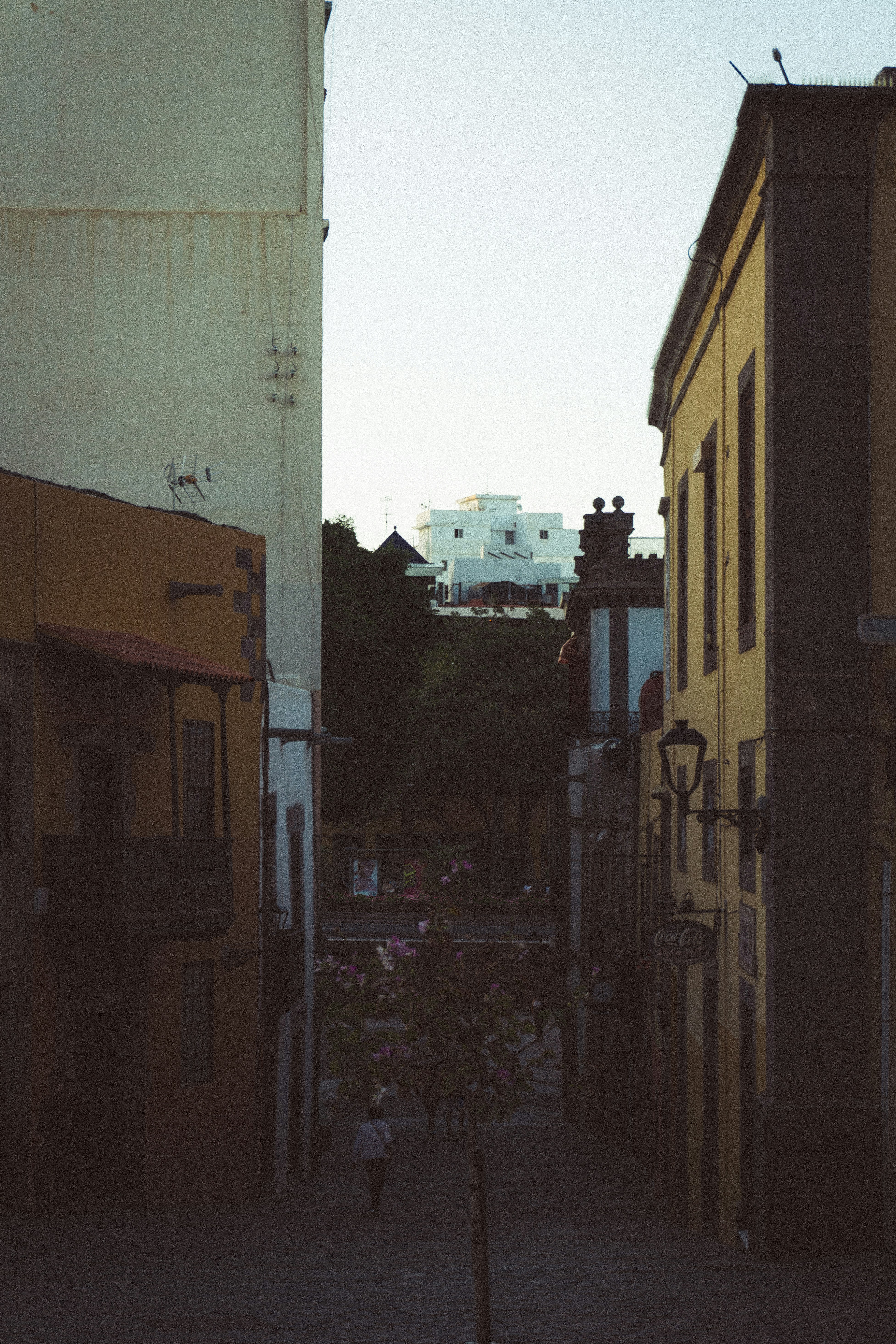 Photo by mejlivg