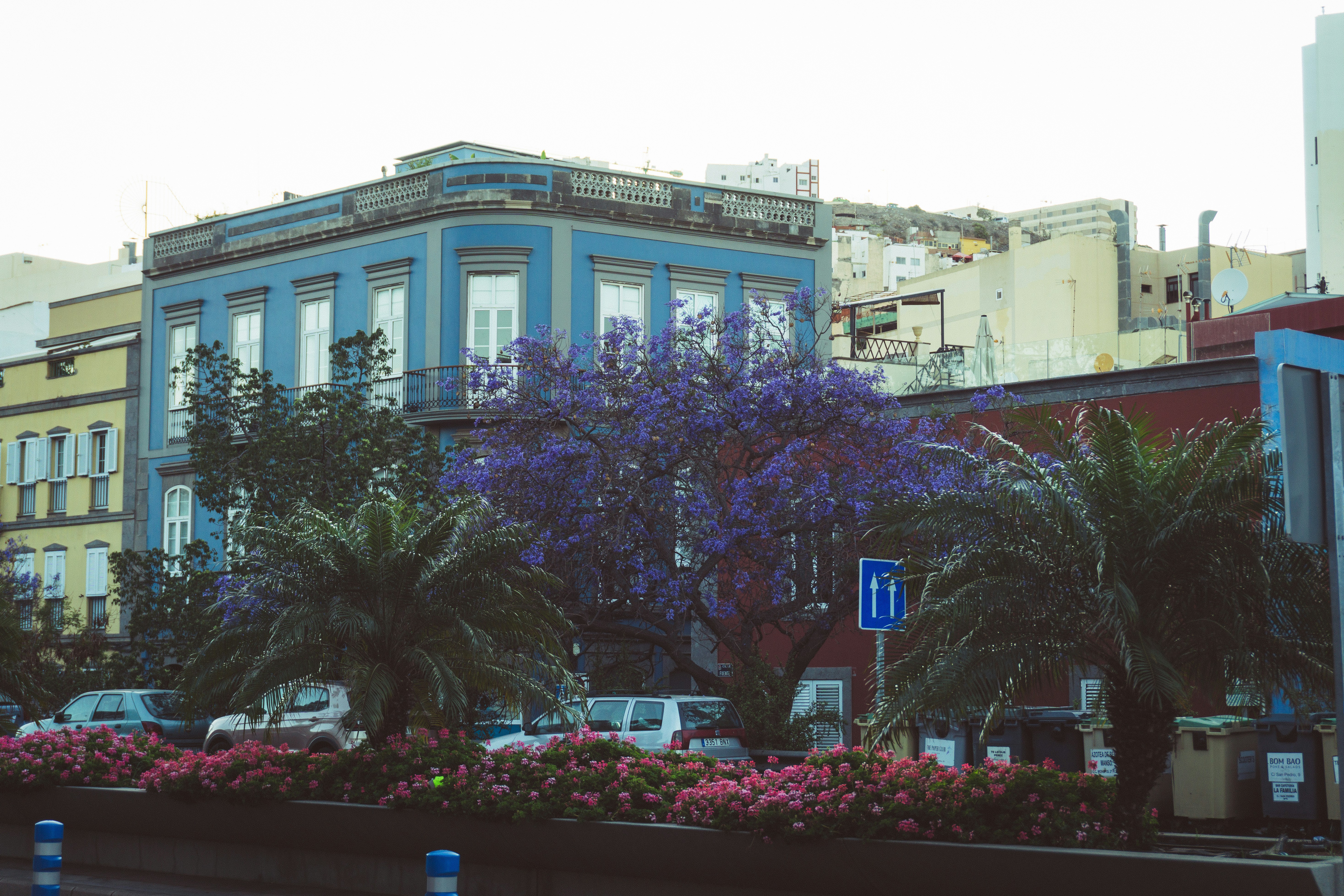 Photo by mejlivg