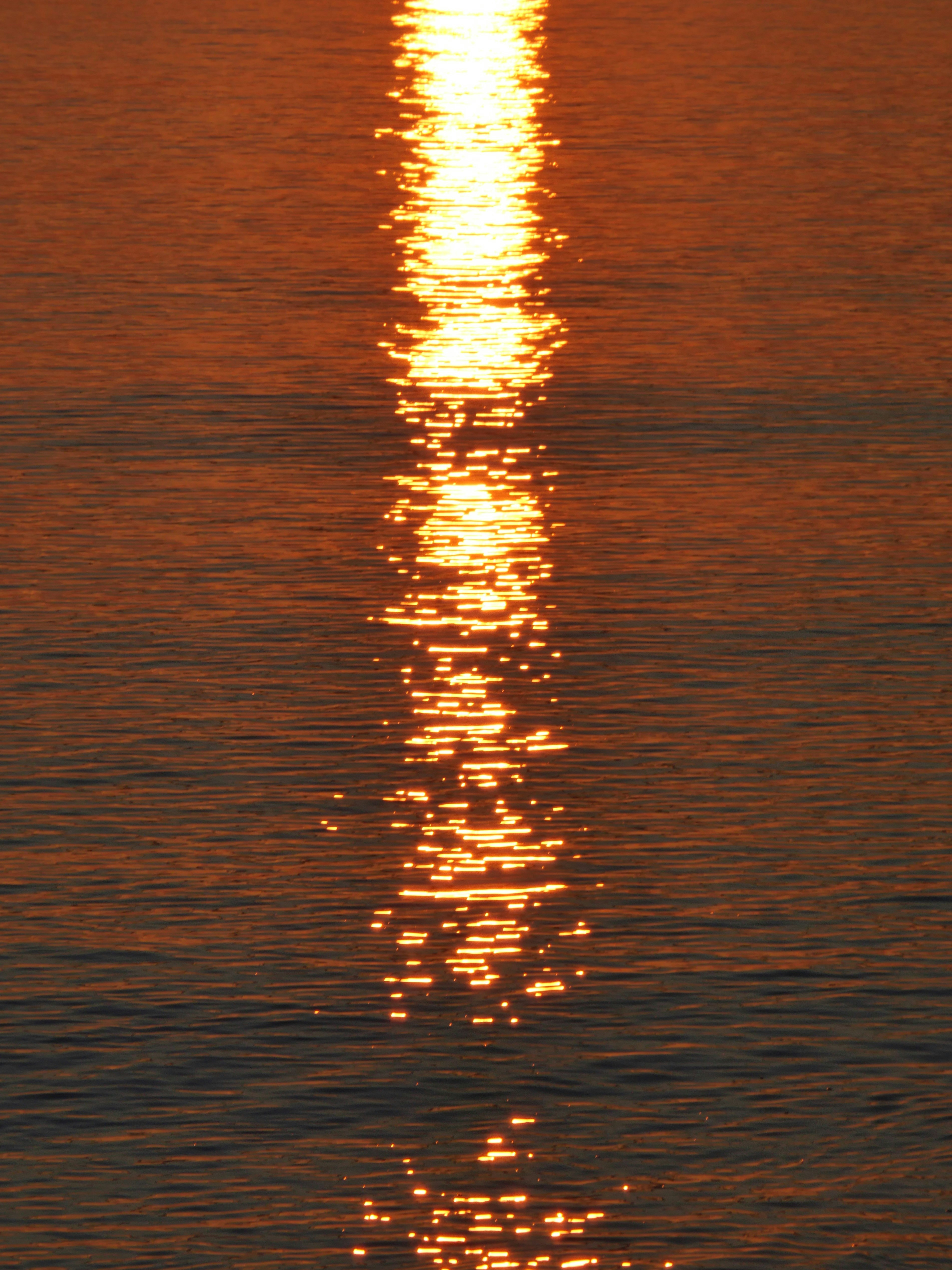 Photo by nimbus_vulpis