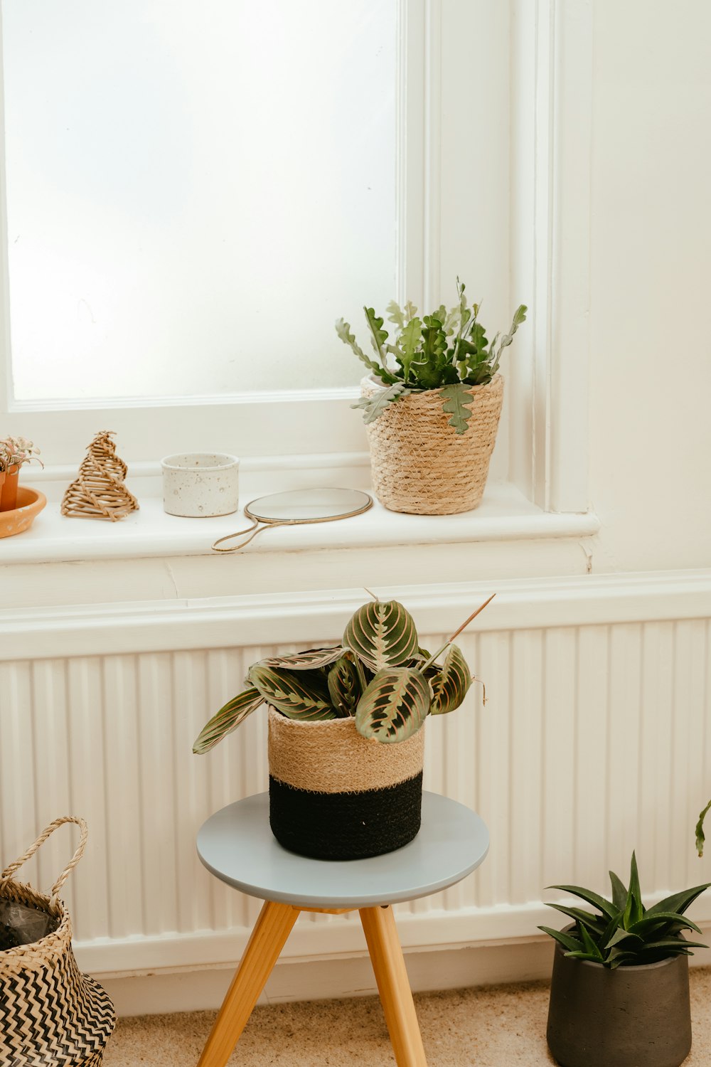 a table with a potted plant and a window