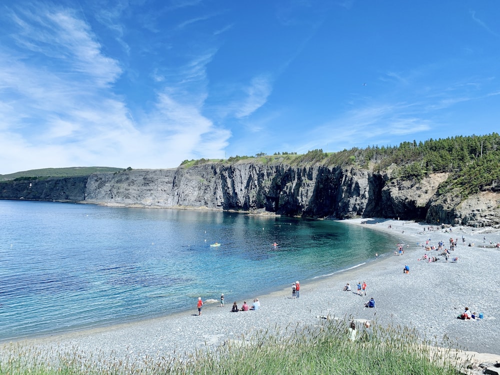 a group of people on a beach