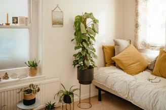 a room with a couch and plants