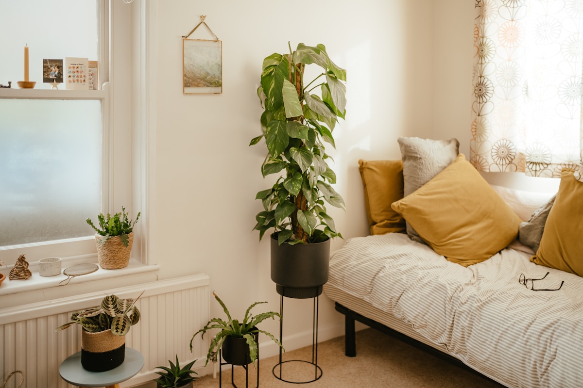 cozy apartment bedroom with large houseplants framing the bed, mustard yellow pillows, no headboard