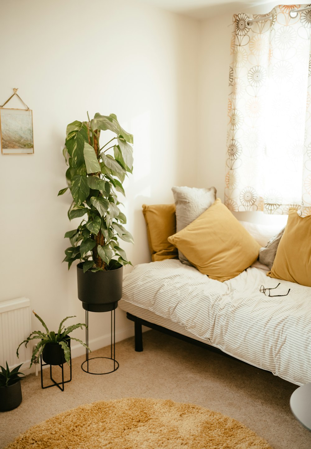 a room with a couch and a plant
