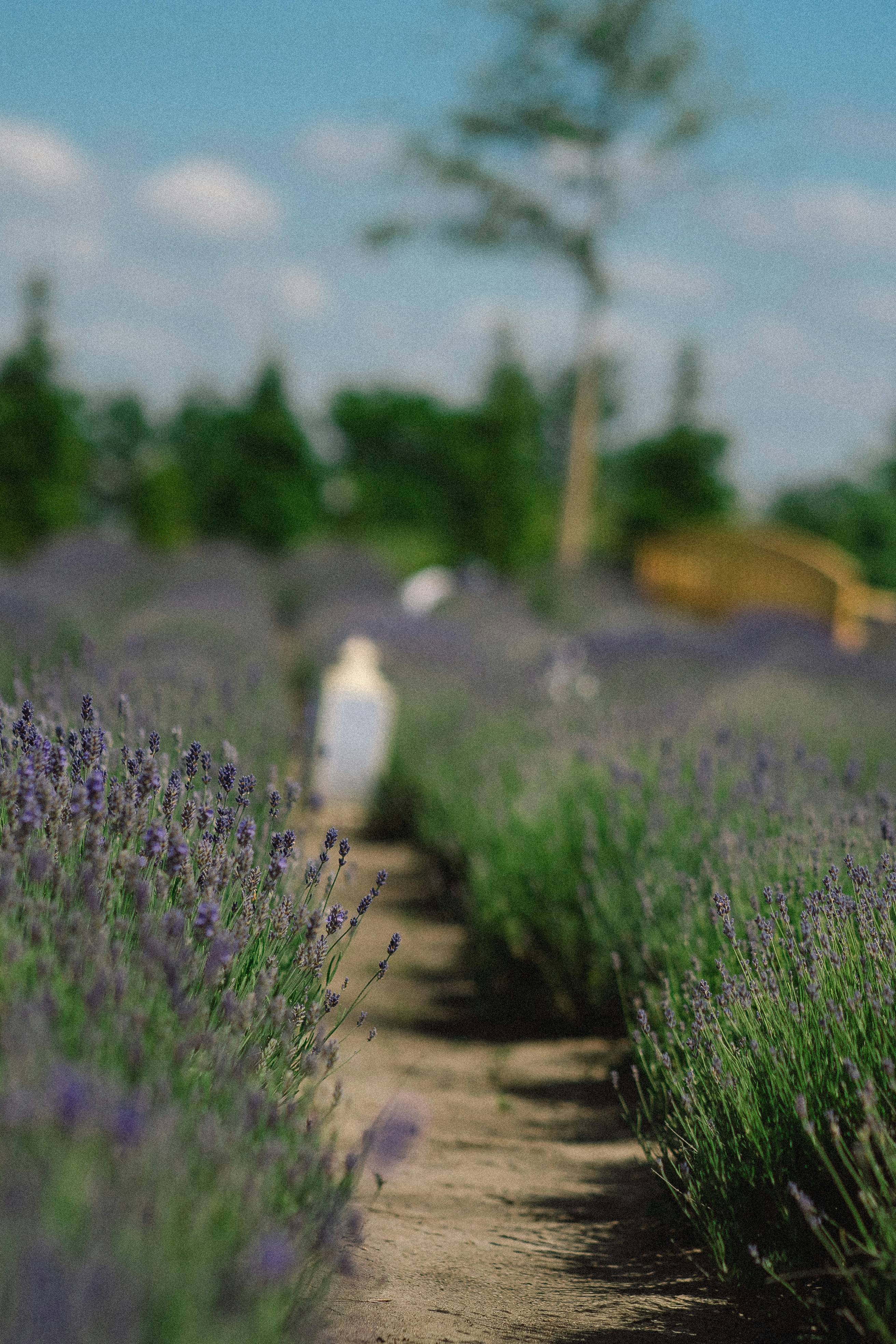 Photo by eugenechystiakov