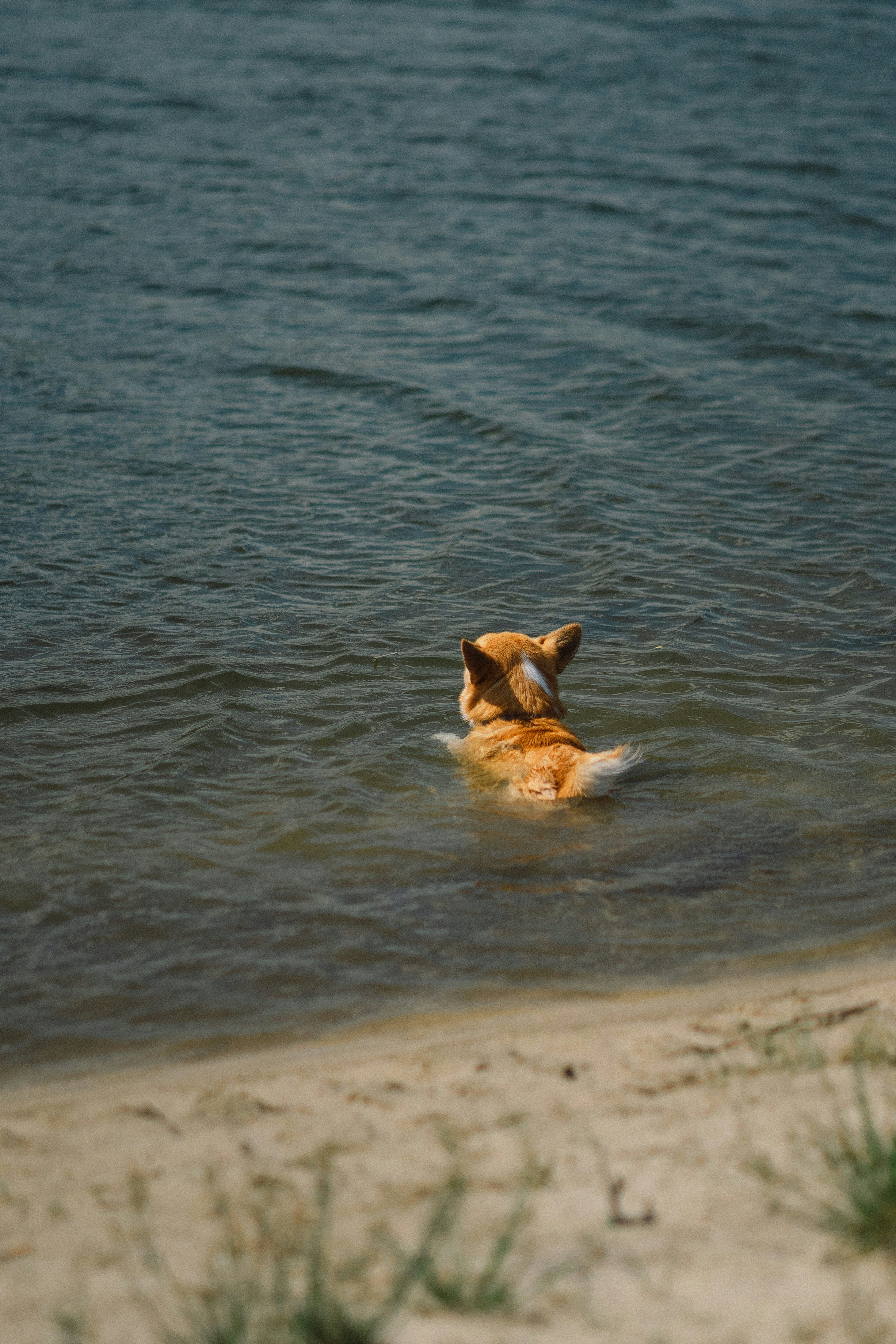 Photo by eugenechystiakov