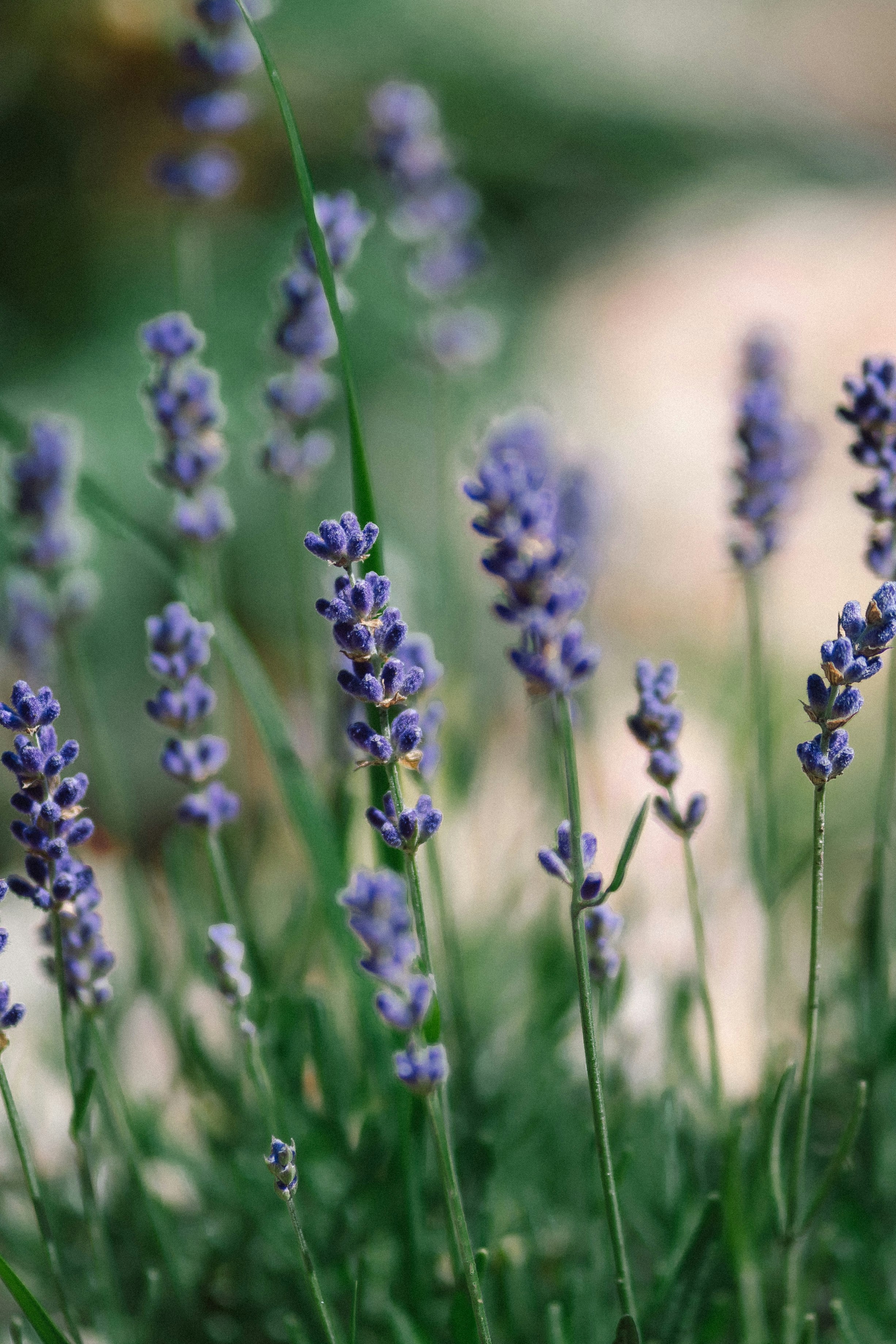 Photo by eugenechystiakov