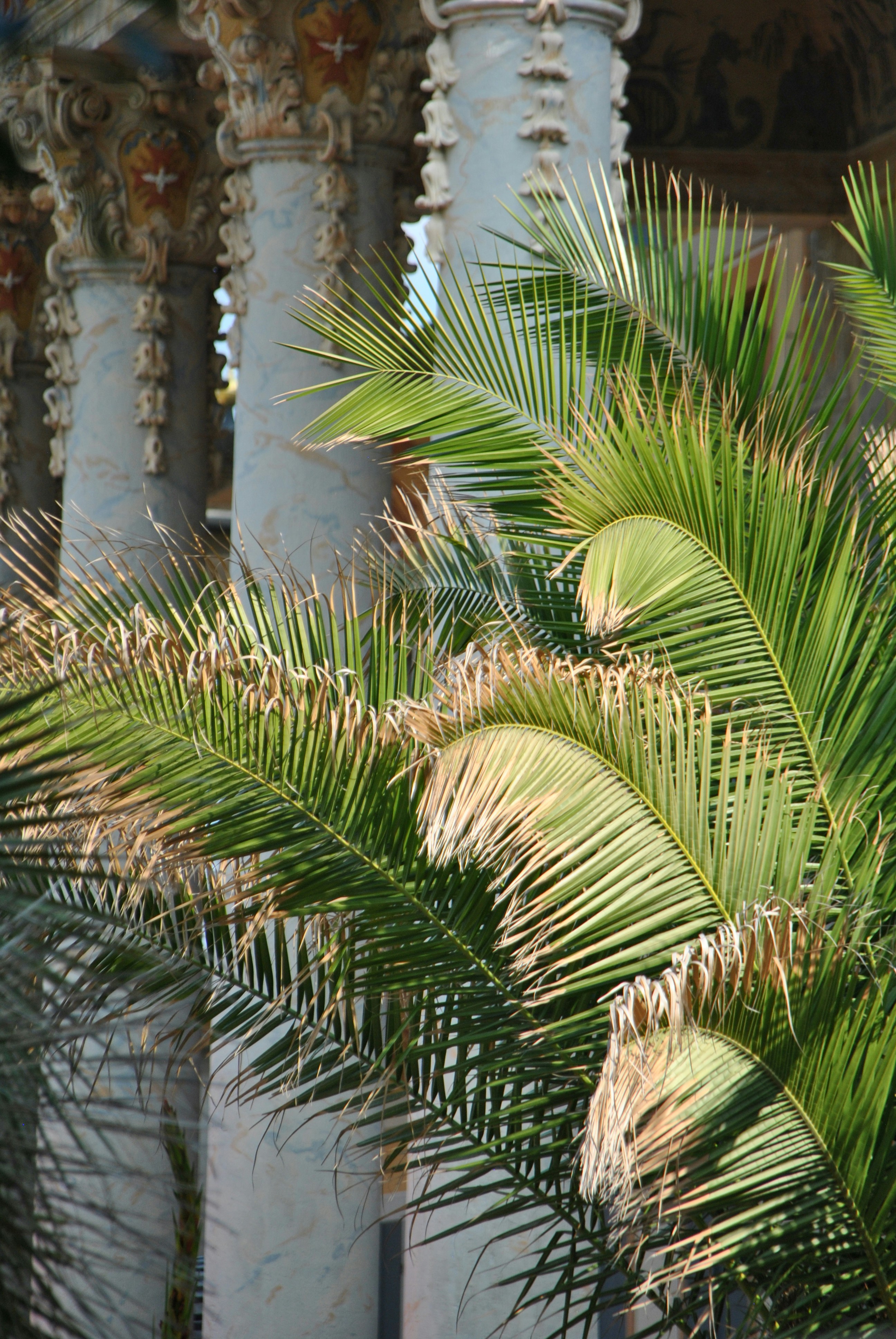 Photo by theodor_jacob