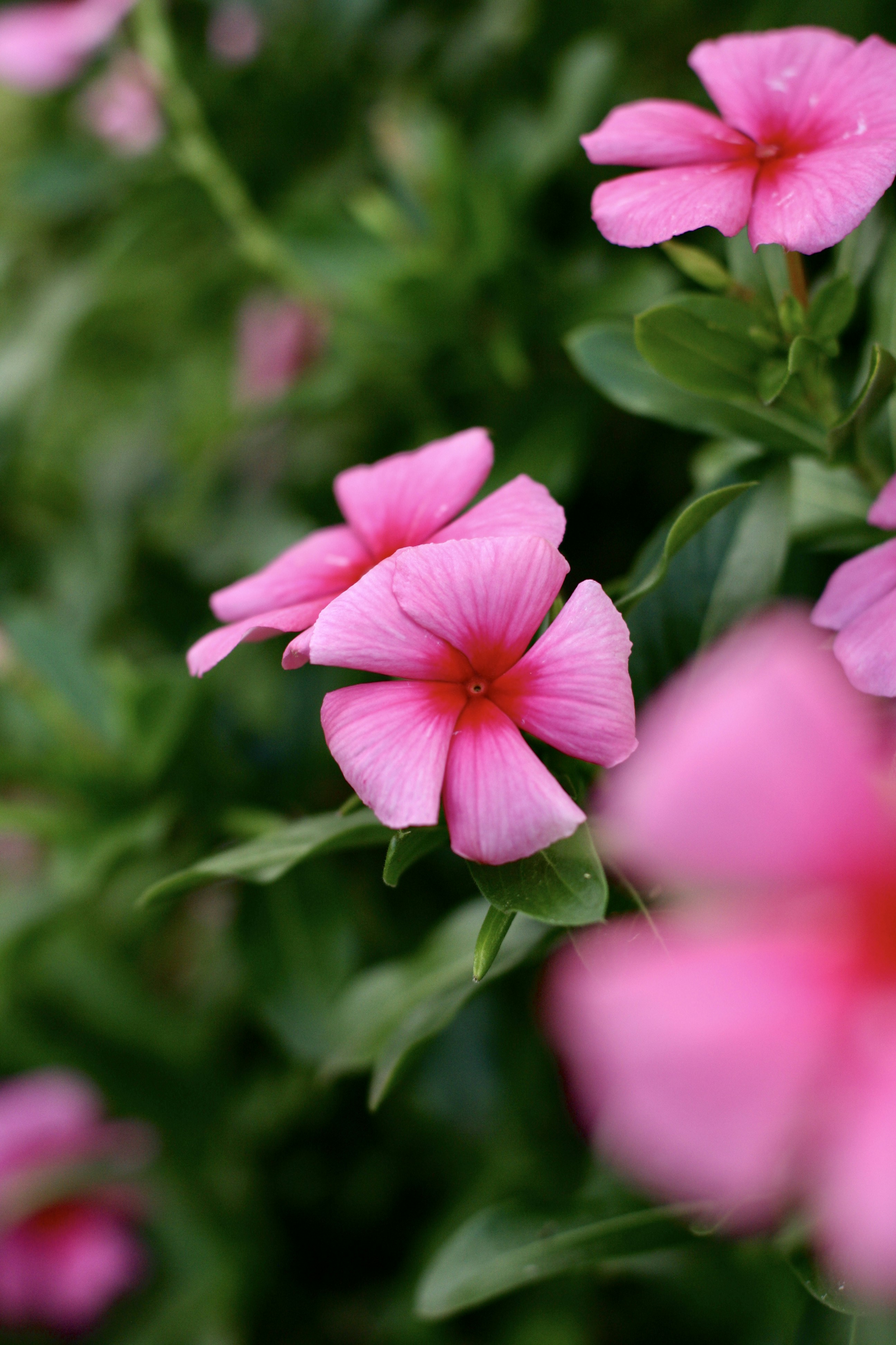 Photo by imagesbykayla