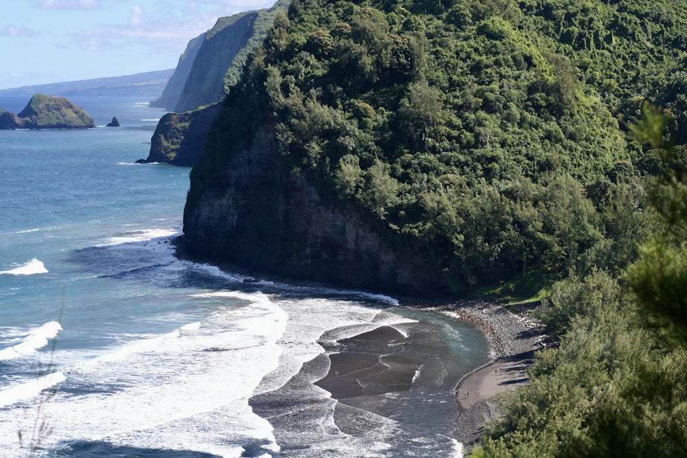 a beach with trees and a body of water by it