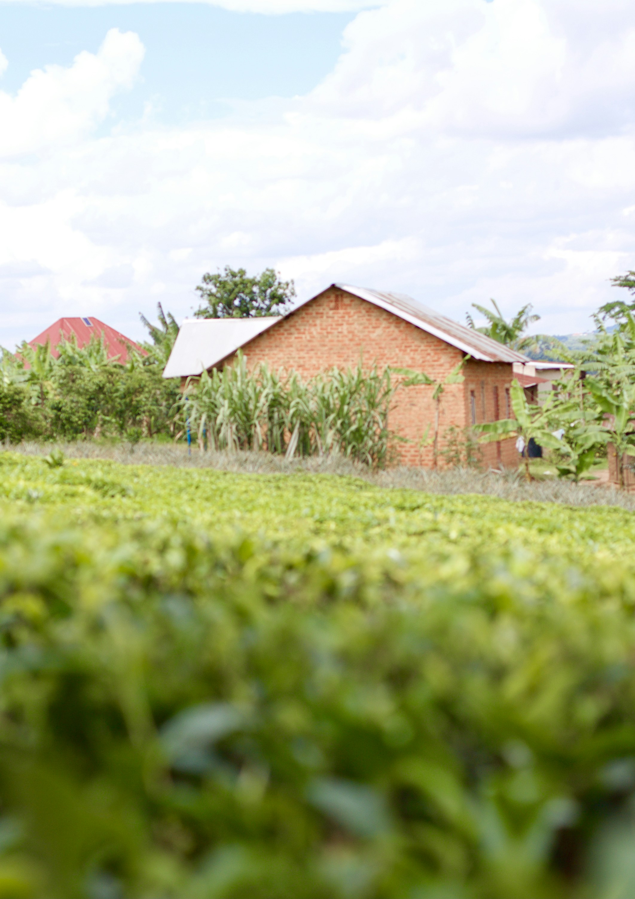 Photo by imagesbykayla