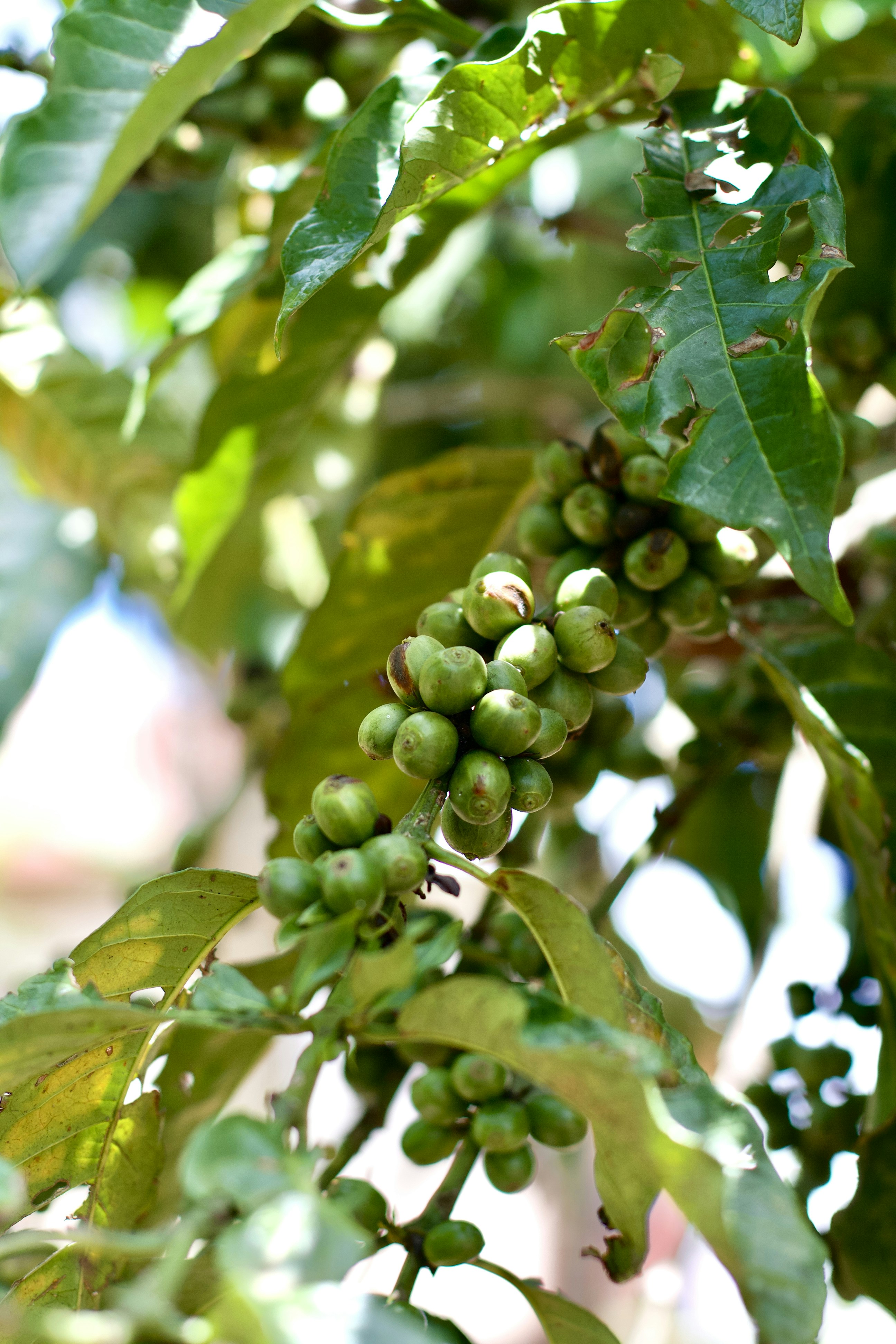 Photo by imagesbykayla