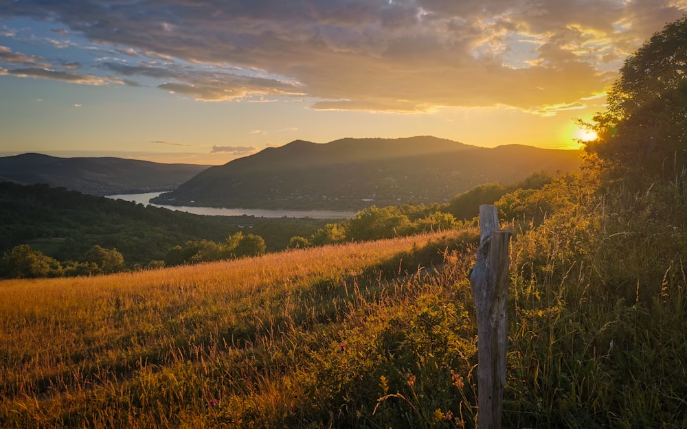 a grassy field with a fence and hills in the background