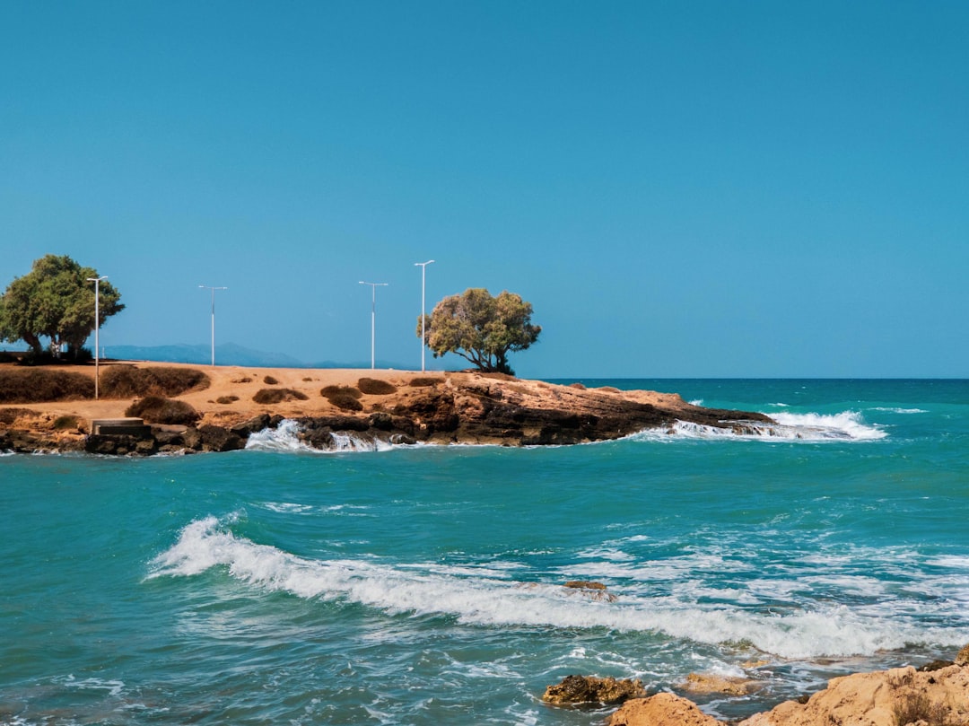 a small island with trees,
