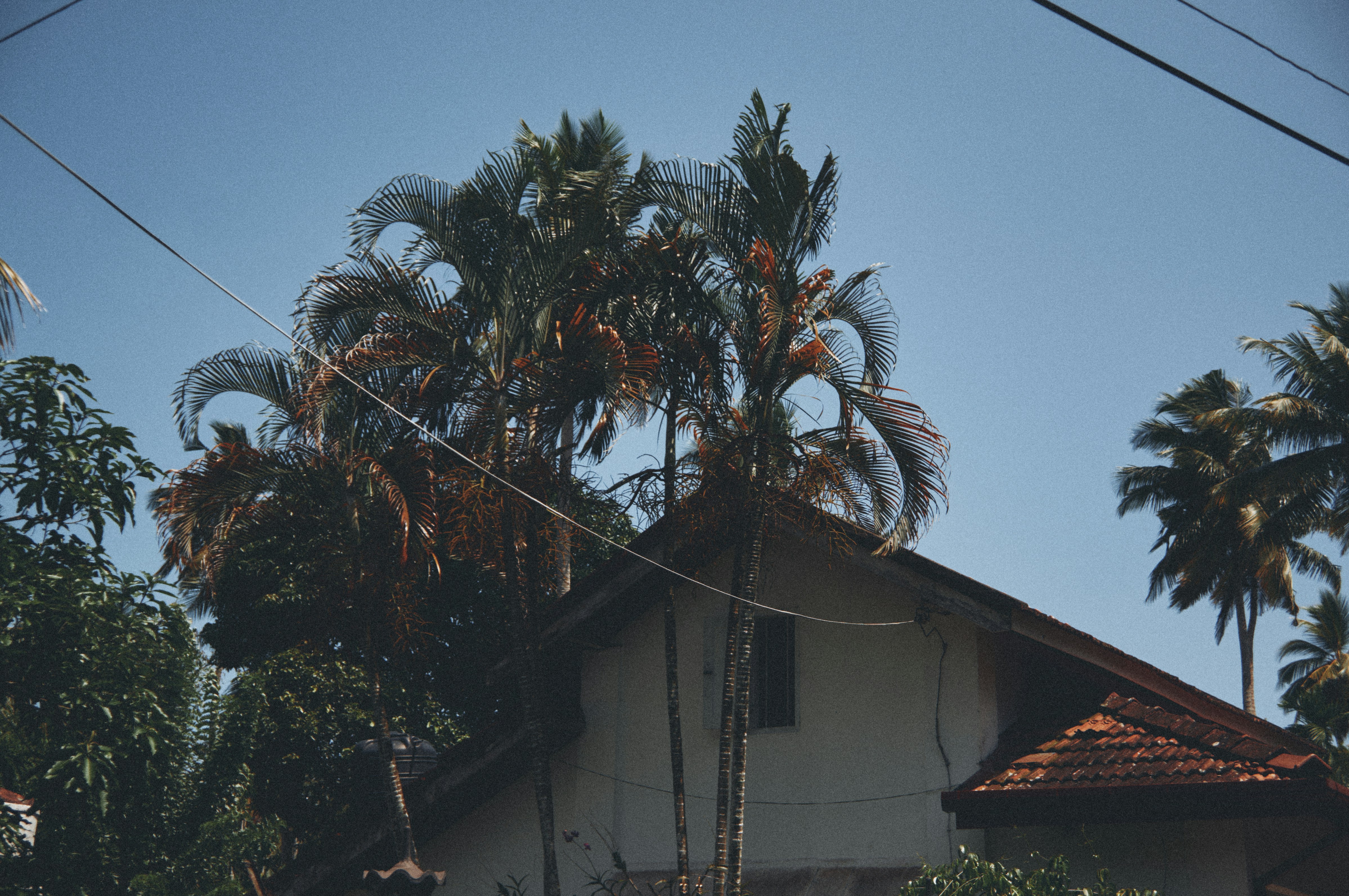 Photo by marrkone