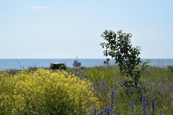 A boat in the water — Saaremaa, Estonia