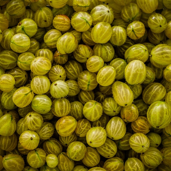A large pile of yellow fruit