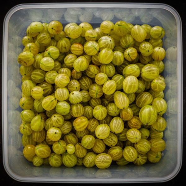 A container of yellow food