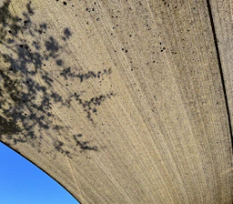 A clean residential concrete driveway with fresh smooth finish under a sunny Texas sky.