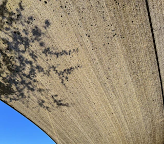 A clean residential concrete driveway with fresh smooth finish under a sunny Texas sky.
