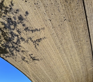Freshly poured concrete driveway with smooth finish under a bright California sky