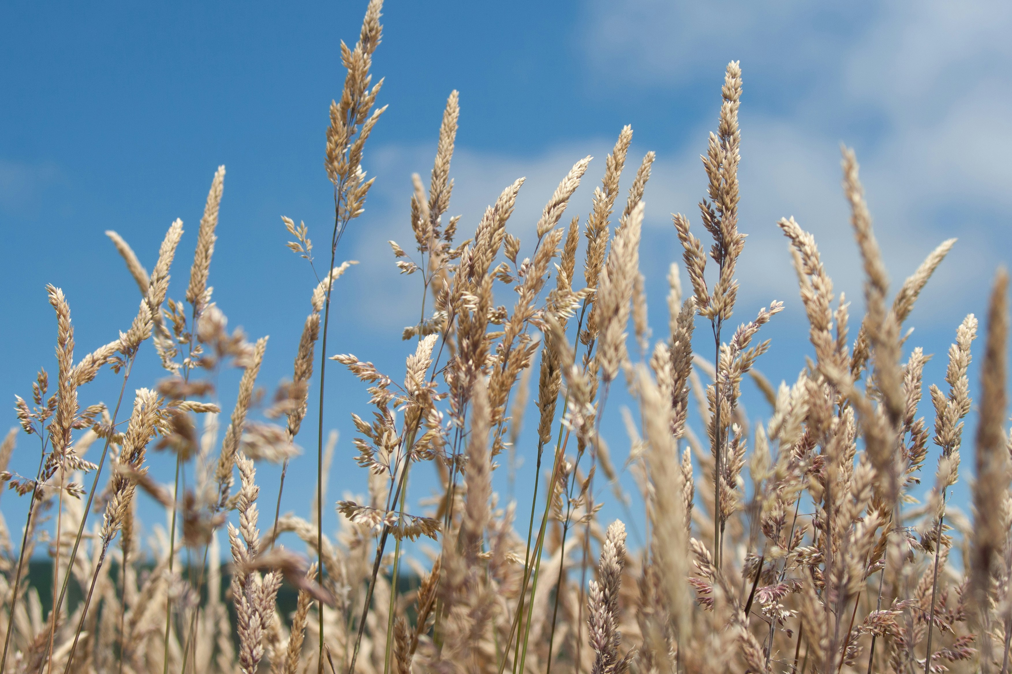 Photo by stephwubben