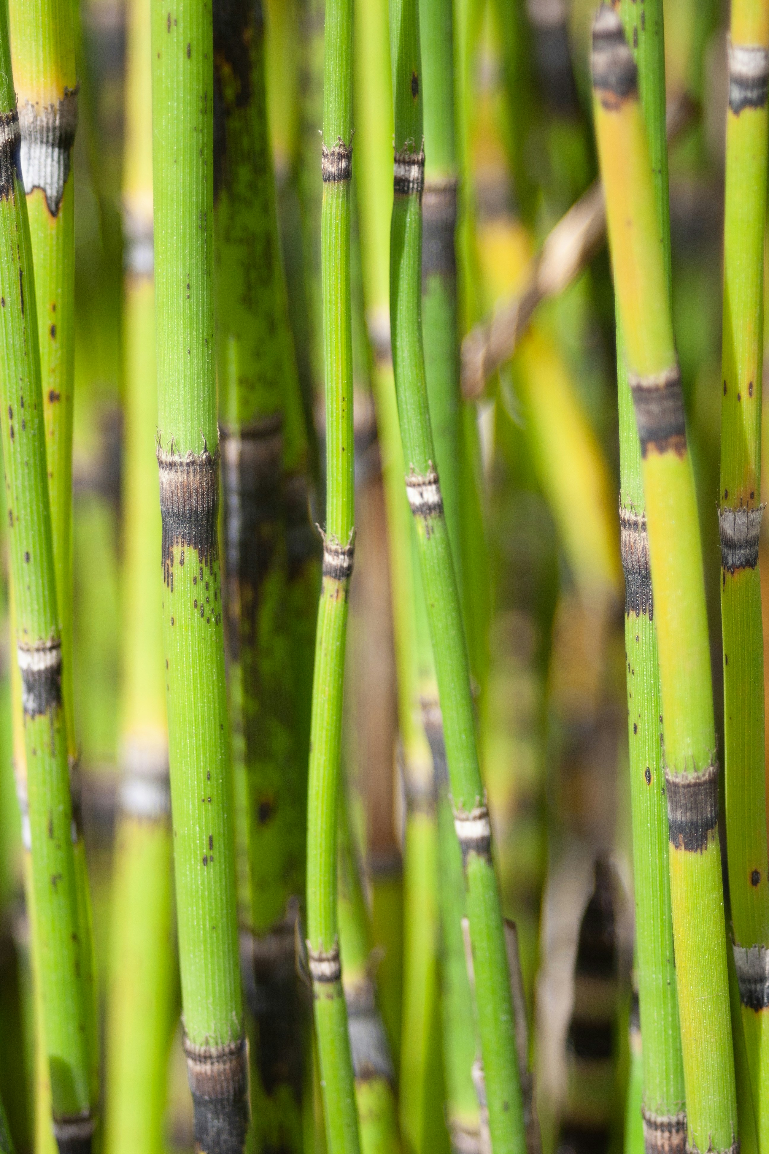 Photo by stephwubben