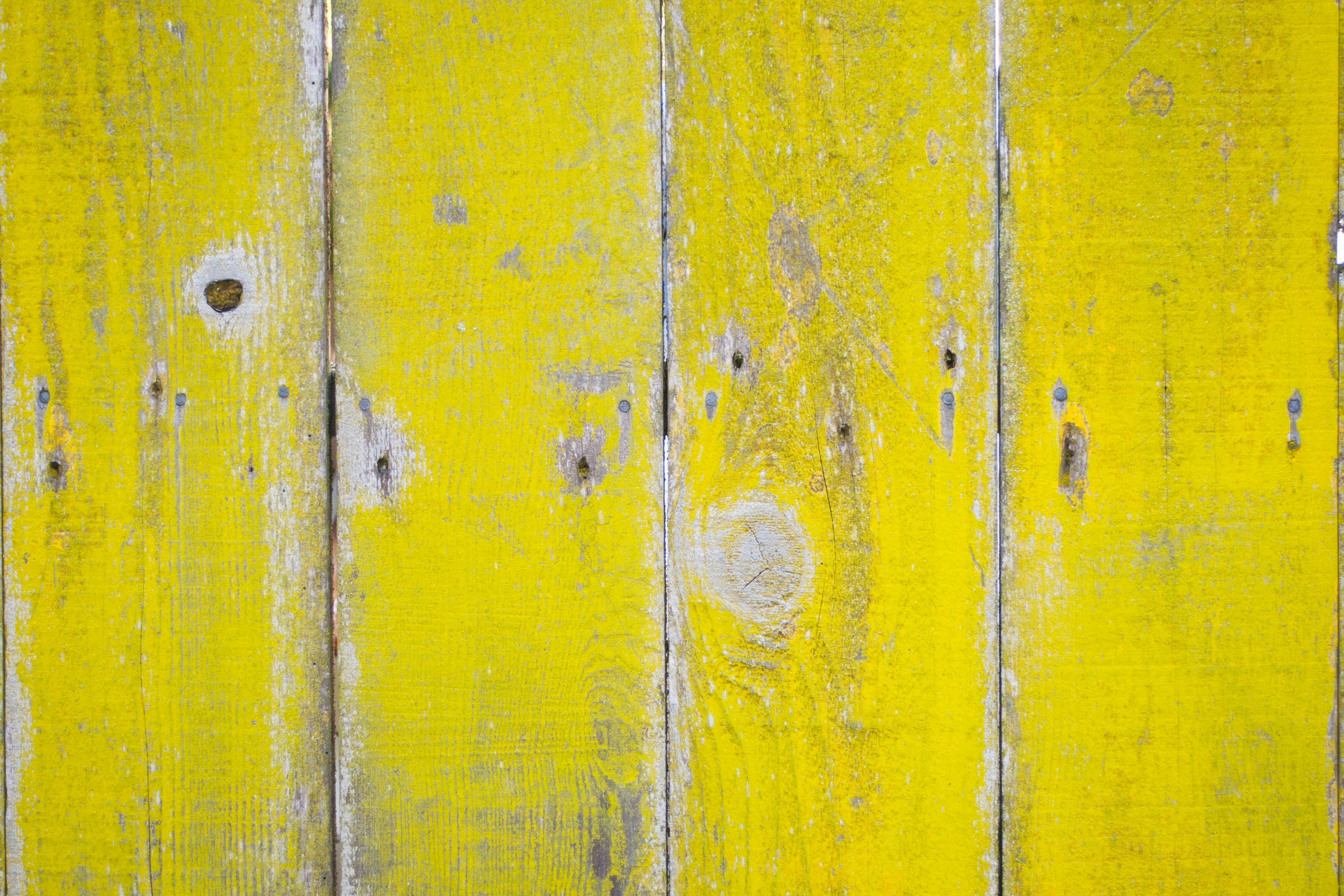 Photo by stephwubben